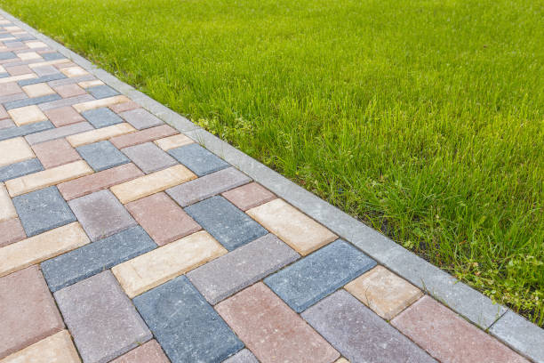 Best Driveway Paving Contractor  in Bartlett, TN